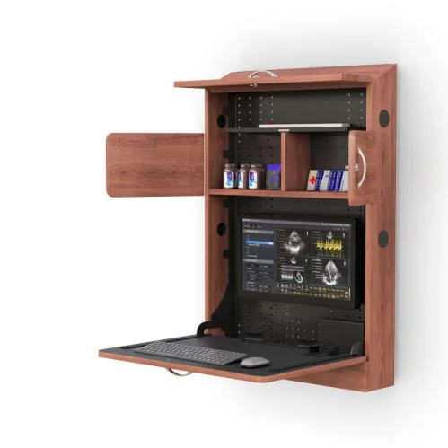 Swing Out Wall Mounted Medical Computer Cabinet